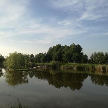 Agrowczasy Nad Stawem Vila Gartatowice Exterior foto