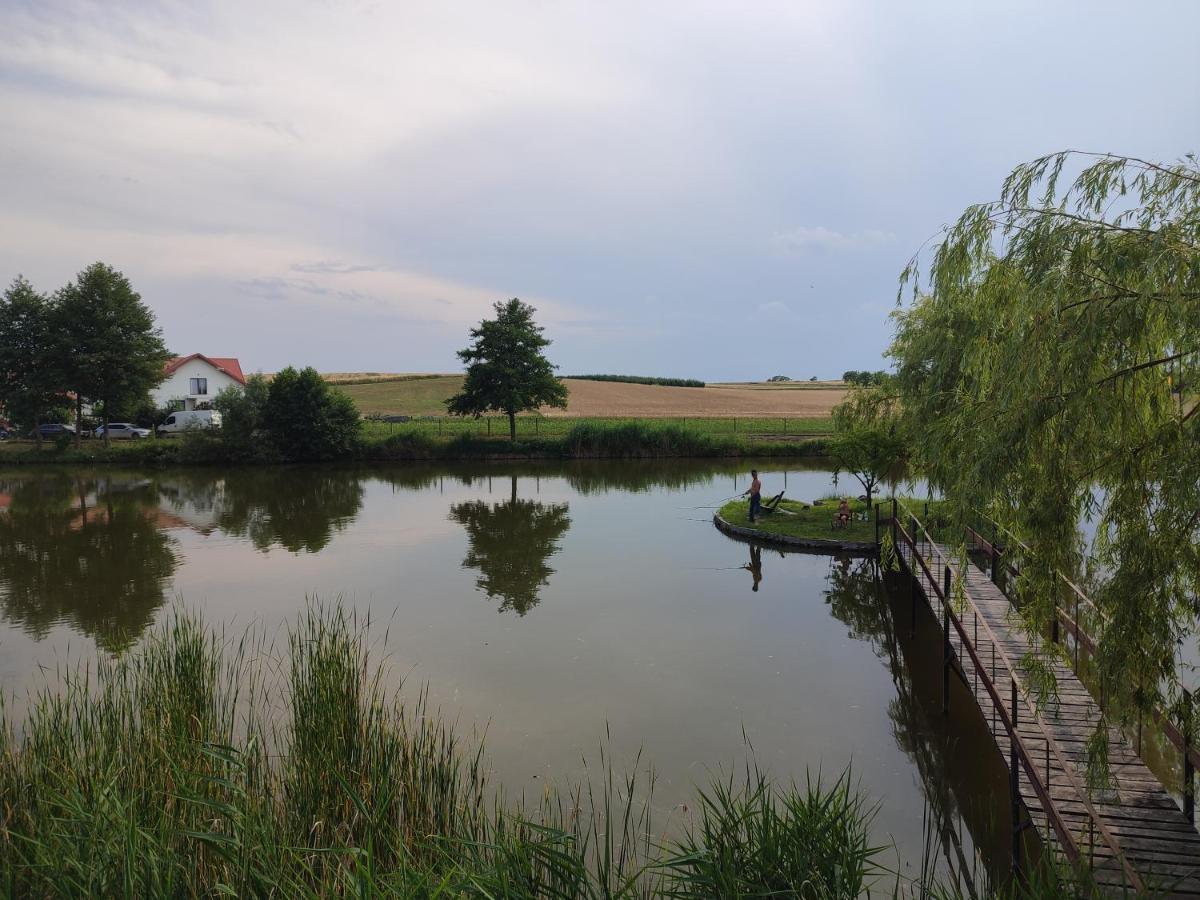 Agrowczasy Nad Stawem Vila Gartatowice Exterior foto