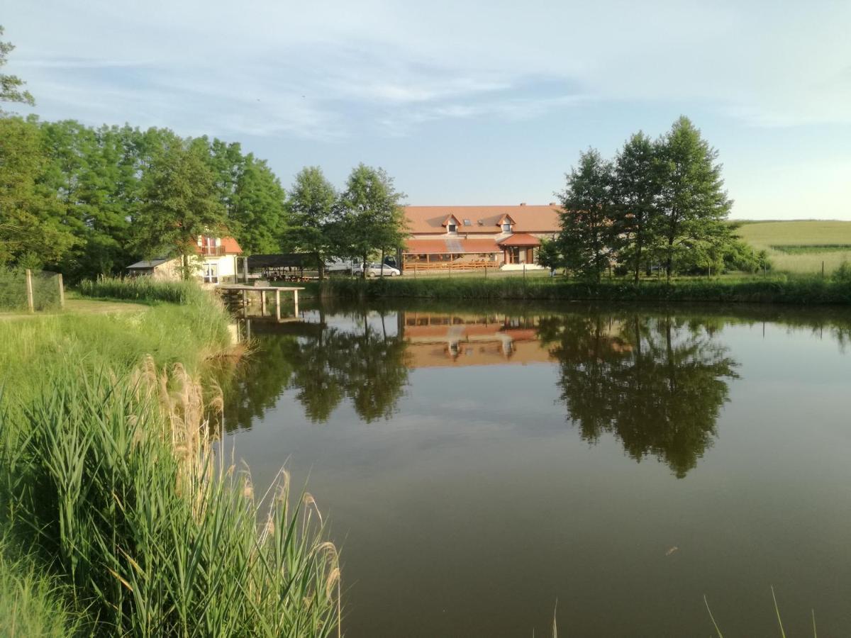Agrowczasy Nad Stawem Vila Gartatowice Exterior foto